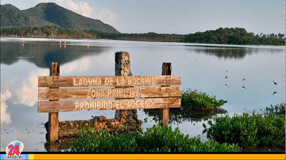 Laguna la Bocaina