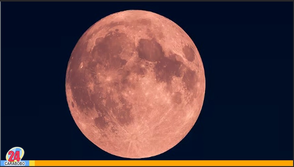 Luna Rosa 2026