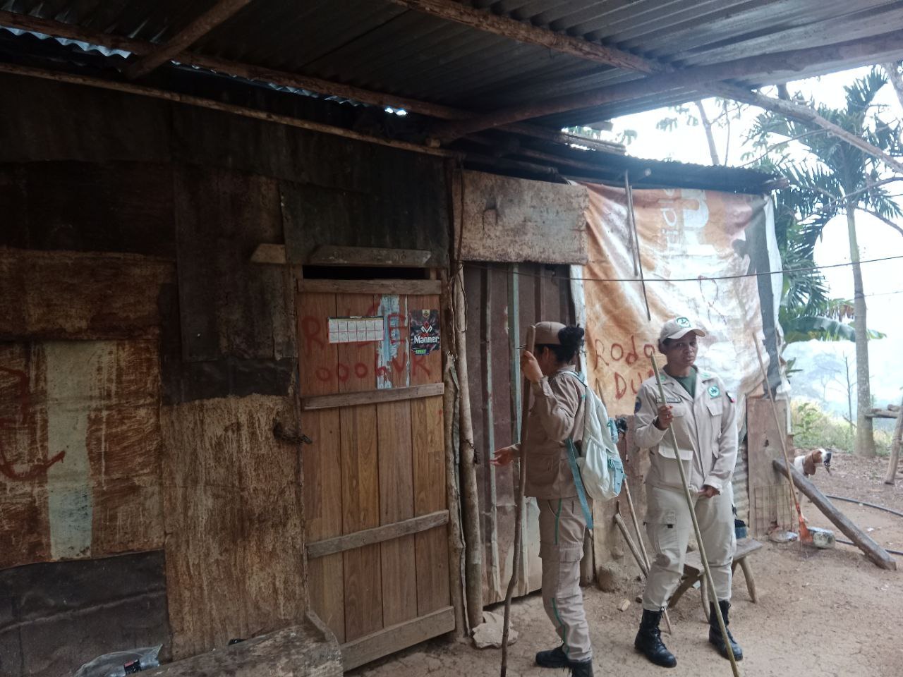 Operativo ambiental en Vigirima