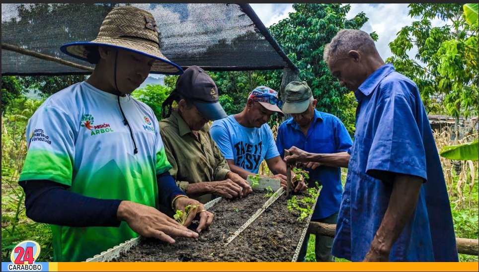 5 mil plantas forestales en Juan José Mora