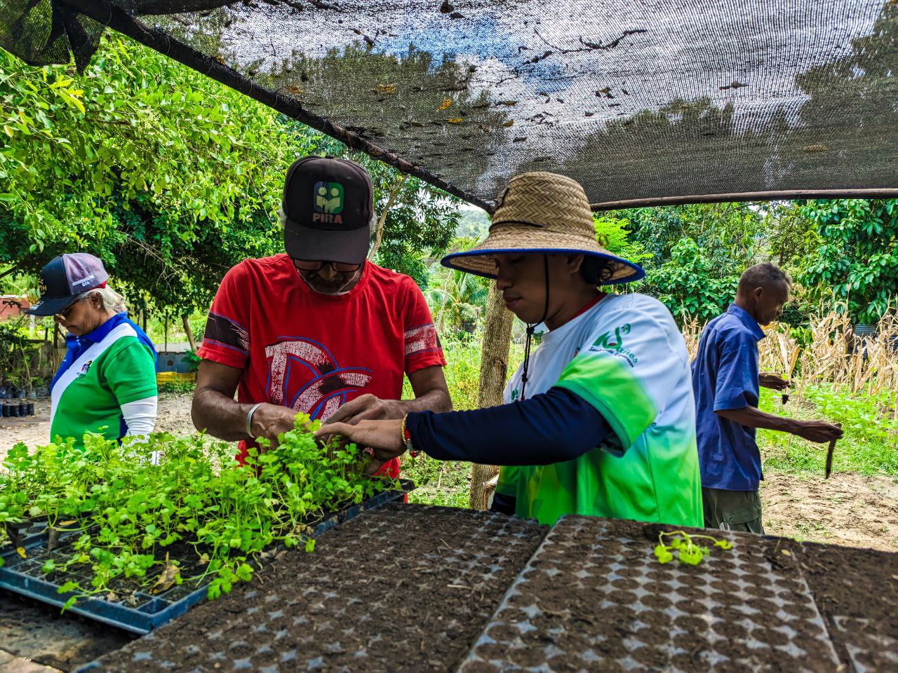 5 mil plantas forestales en Juan José Mora