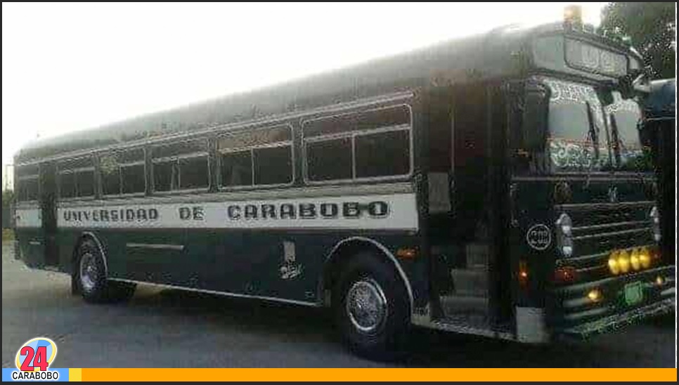 Caimanes e iguanas