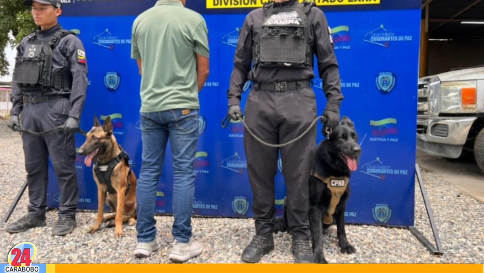 Perro policía antidrogas en Lara