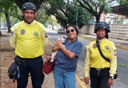 Rescatado un gato en Naguanagua