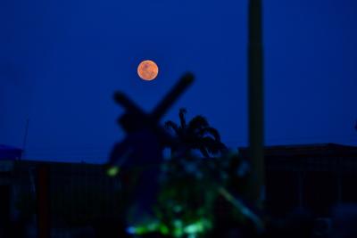 Luna Rosa en Valencia