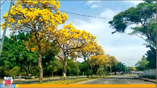 Avenida Paseo Cabriales