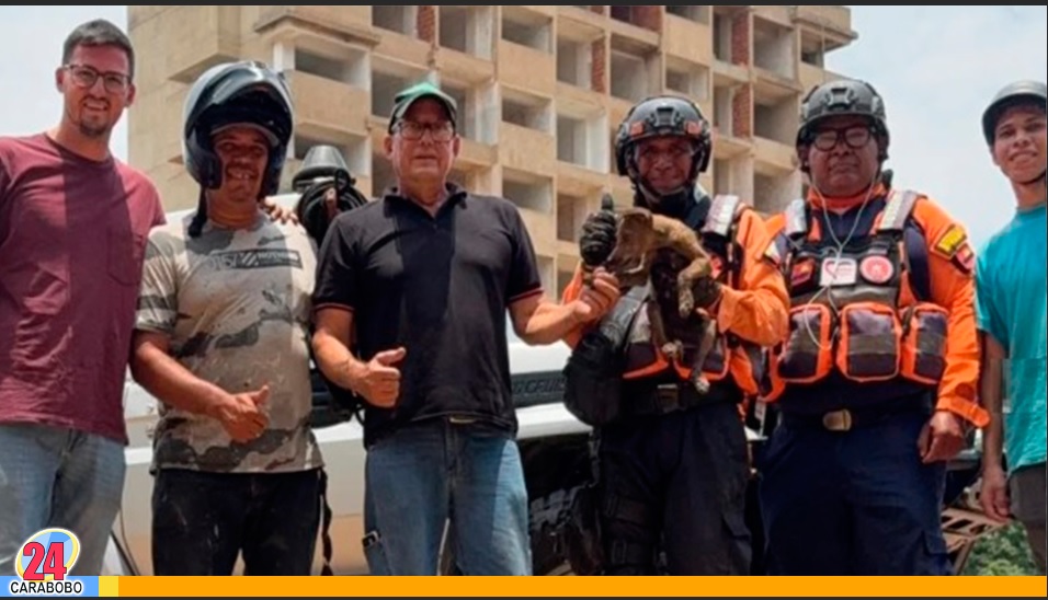 Rescatado un perro en un espacio confinado en Naguanagua