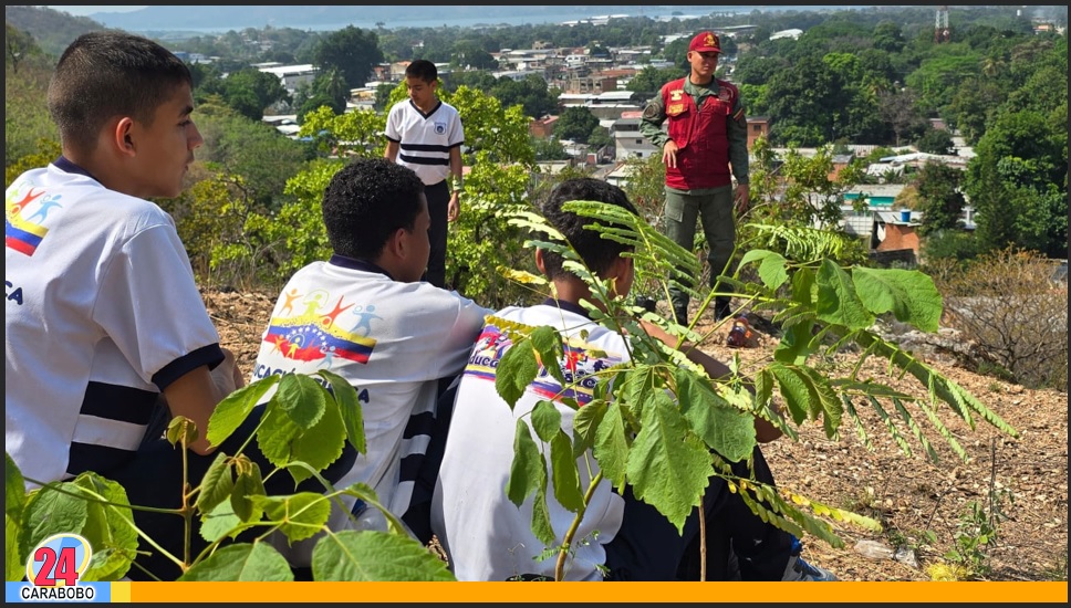 Inició Plan de Reforestación en el Parque Nacional Henri Pittier