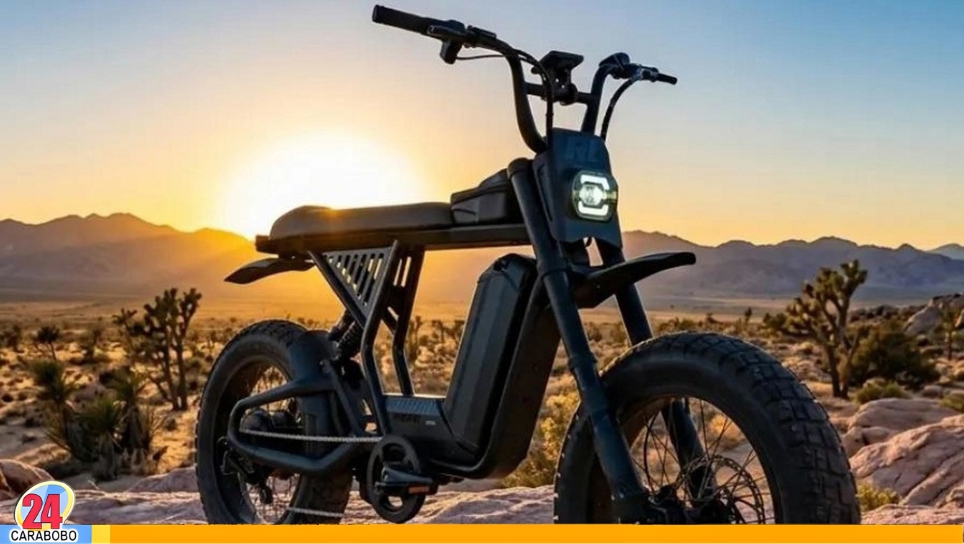Bicicleta eléctrica de 10 años