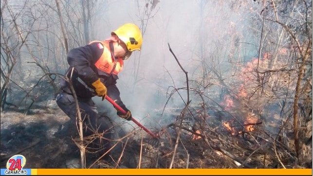 Día Internacional del Combatiente de Incendios Forestales