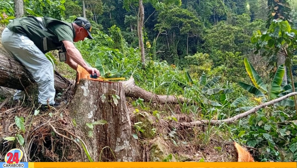Circuitos de Supervisión y Fiscalización Ambiental