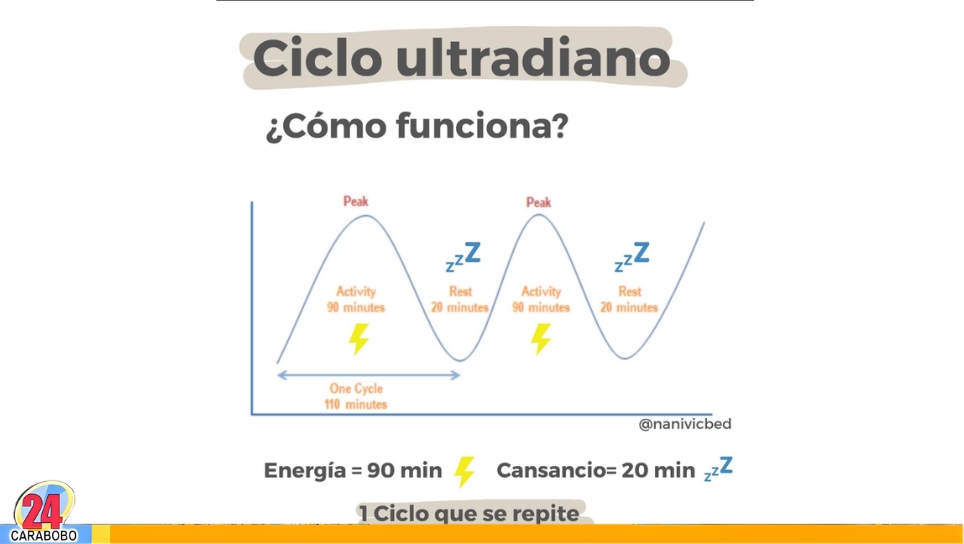 Pausa de los 90 minutos para productividad (2)