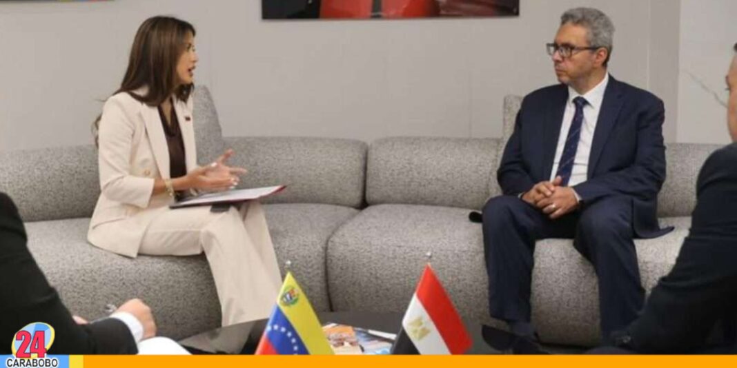 Venezuela y Egipto vuelos chárter