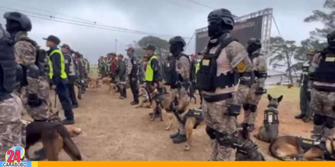 116 perros entrenados detección de drogas