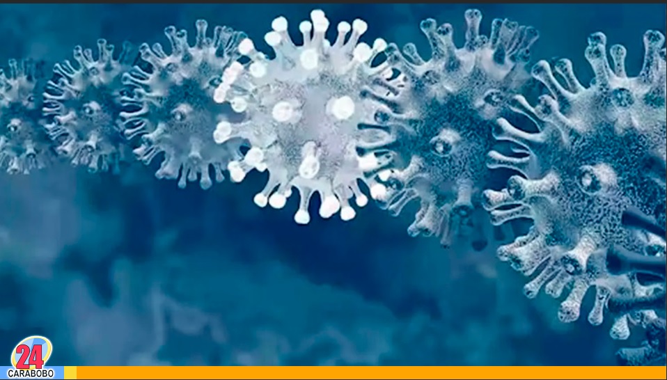 virus más peligrosos que hay en el mundo