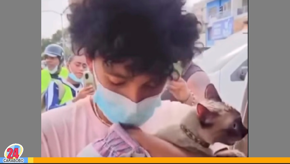 Joven rescató a su gata