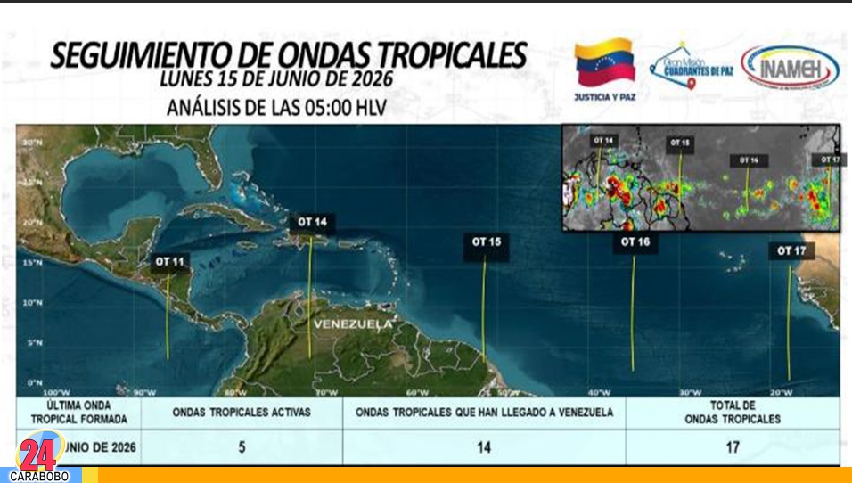 Onda Tropical 14