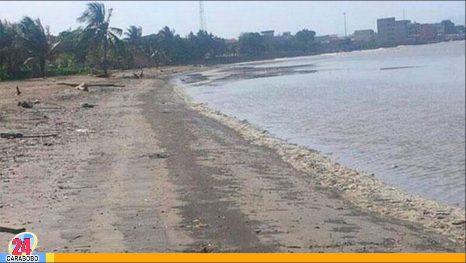 ¿Qué hacer si el agua de una playa retrocede?