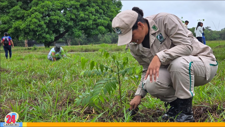 Jornada de reforestación en Campo de Carabobo