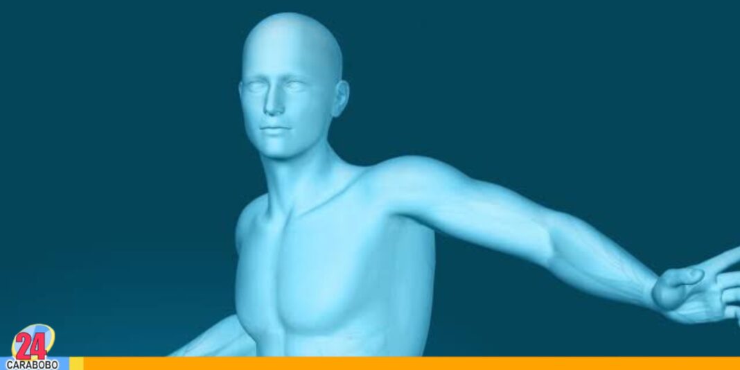 Los cinco hechos fascinantes sobre nuestro cuerpo