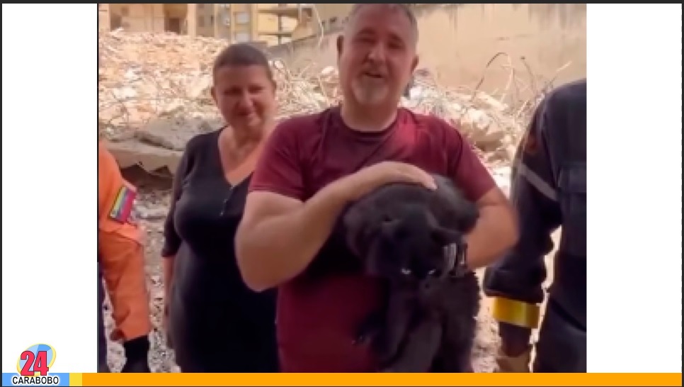 Un gato fue rescatado en un edificio derrumbado en La Guaira