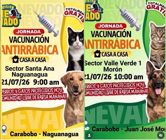 Noticias24Carabobo, Noticias de Carabobo, Noticias 24, Noticias Hoy, Noticias 24 Horas Carabobo, Noticias de Valencia, Información de Carabobo, Noticias de Hoy Valencia, Noticias de Venezuela, Noticias de Sucesos, Noticias24Carabobo en Google News, Newsarticle, AAA, Julio 21, 21 de julio, Noticias de Misión Nevado