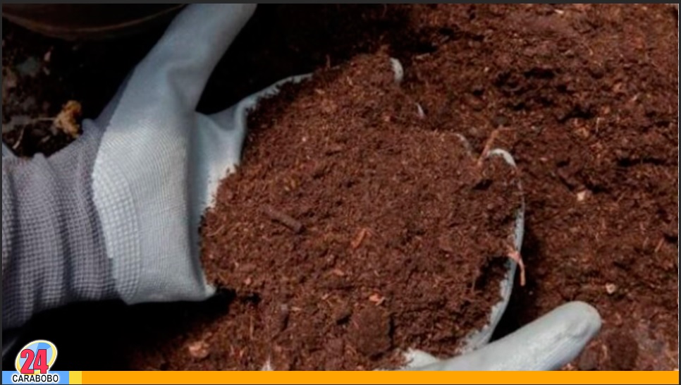 Prepara tierra abonada rápidamente