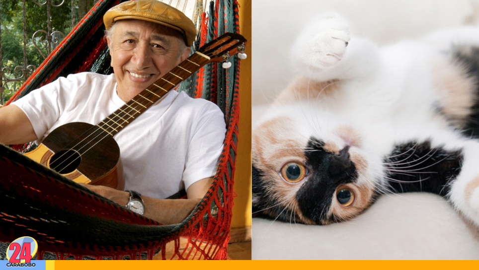 Efemérides Día Internacional del Gato