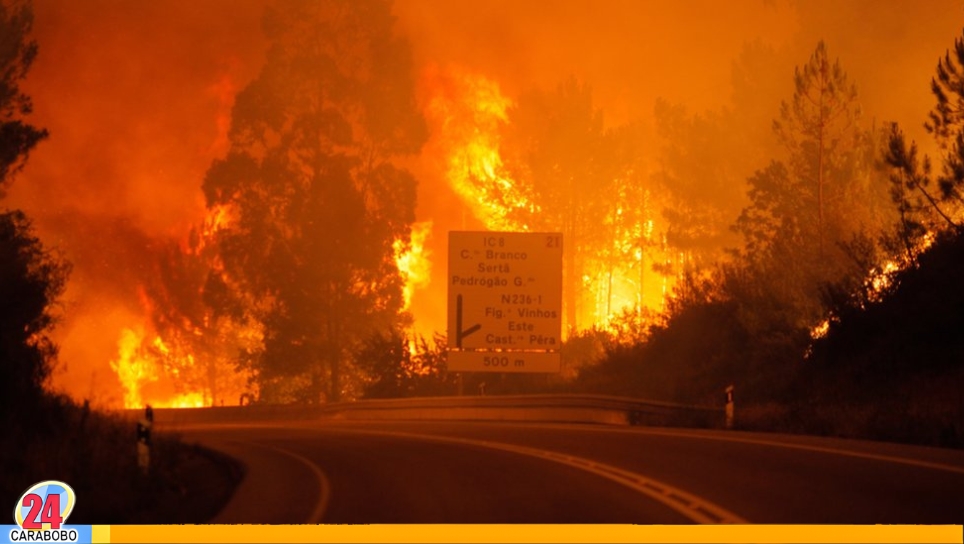 Incendio forestal en Portugal