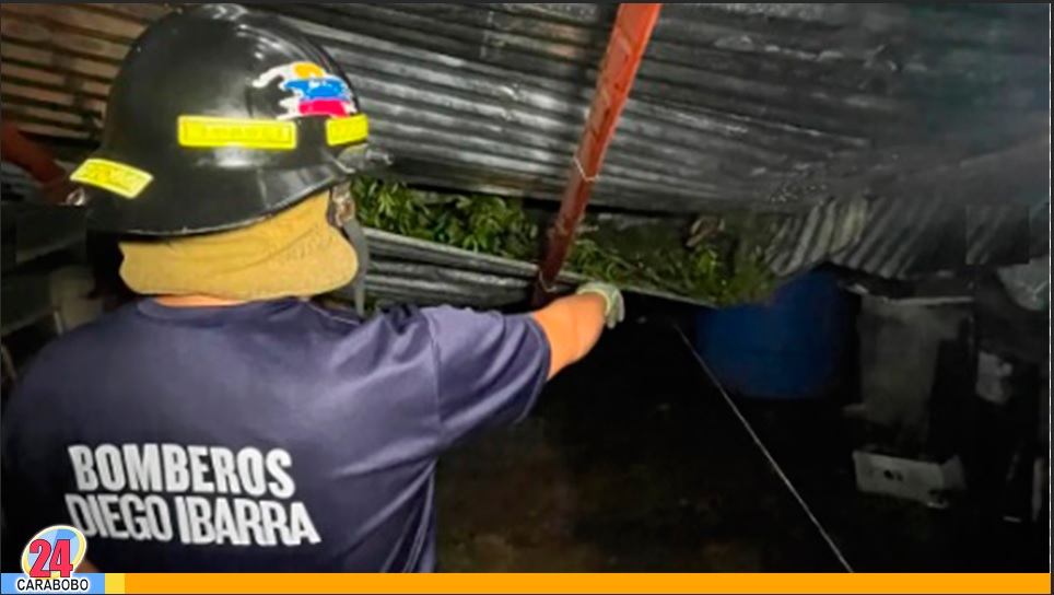 Árbol cayó sobre una vivienda en Mariara