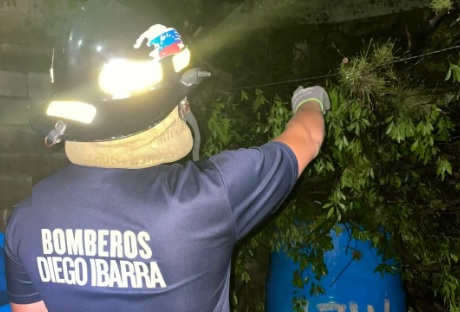 Árbol cayó sobre una vivienda en Mariara