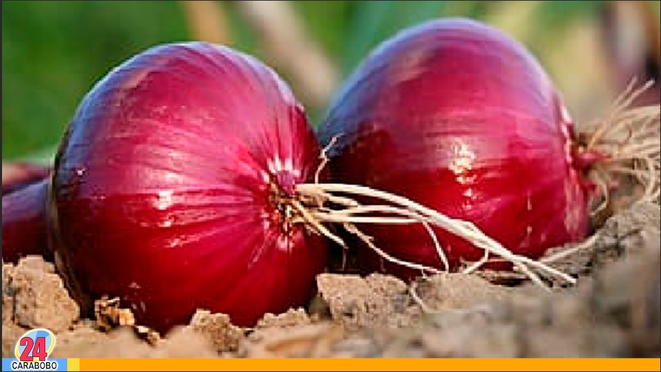 Comer cebolla morada