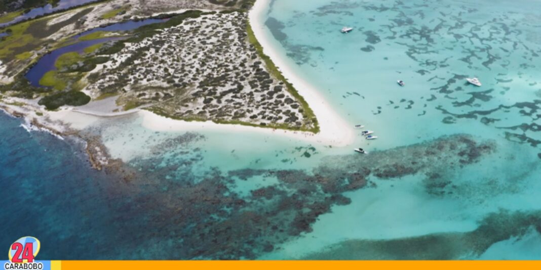 nuevos sismo Isla La Tortuga