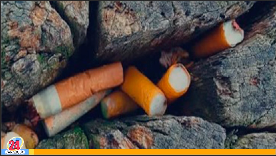 colilla de cigarrillo