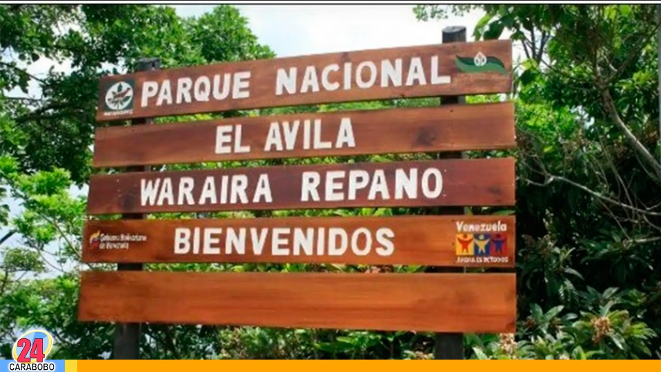 La leyenda urbana del Ávila 