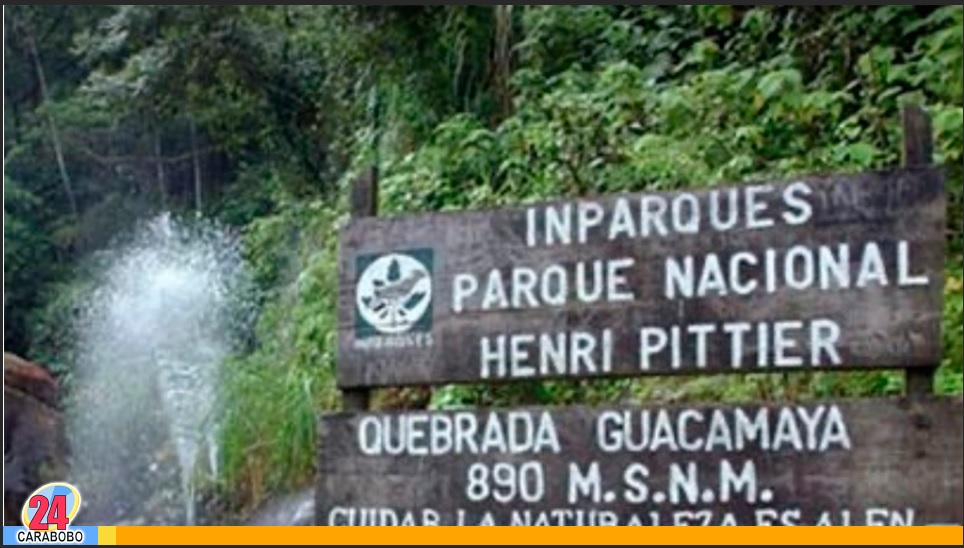 Guardaparque del Henri Pittier murió tras caer de un puente