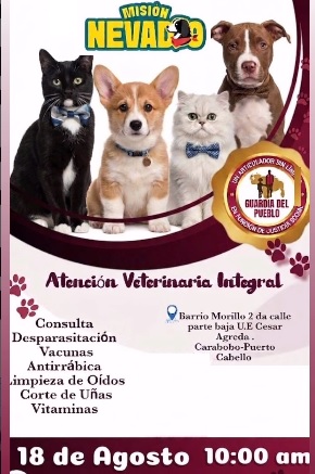Jornada de Misión Nevado Carabobo