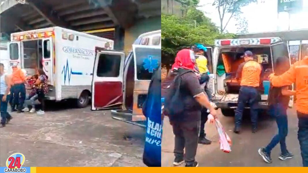 Ataque de abejas en el Polideportivo de Pueblo Nuevo
