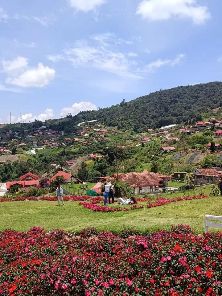 Colonia Tovar en septiembre te espera