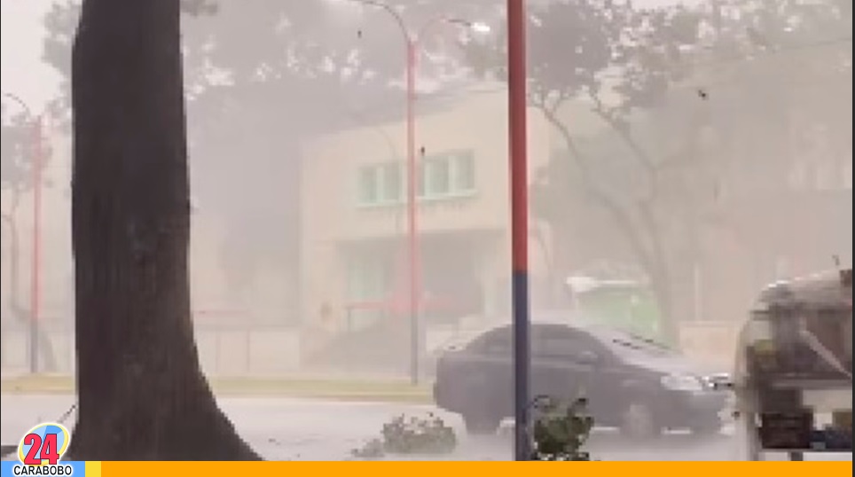 Aguacero en Valencia dejó árboles caídos