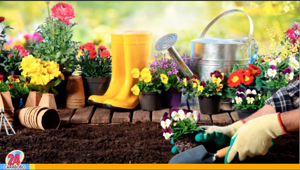 Un jardín bien cuidado en tu hogar
