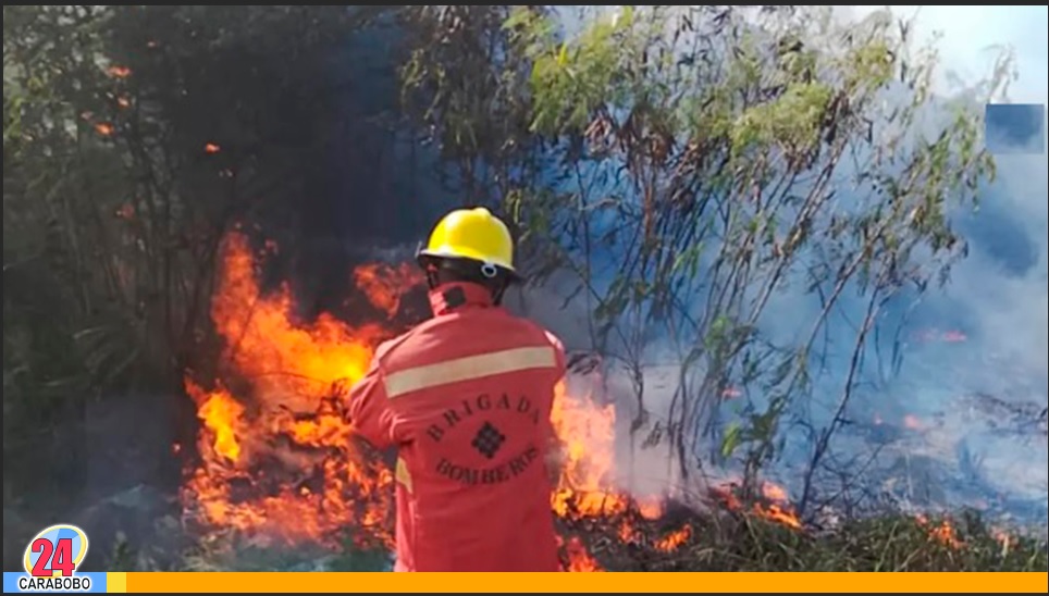 Incendios de vegetación en Morón