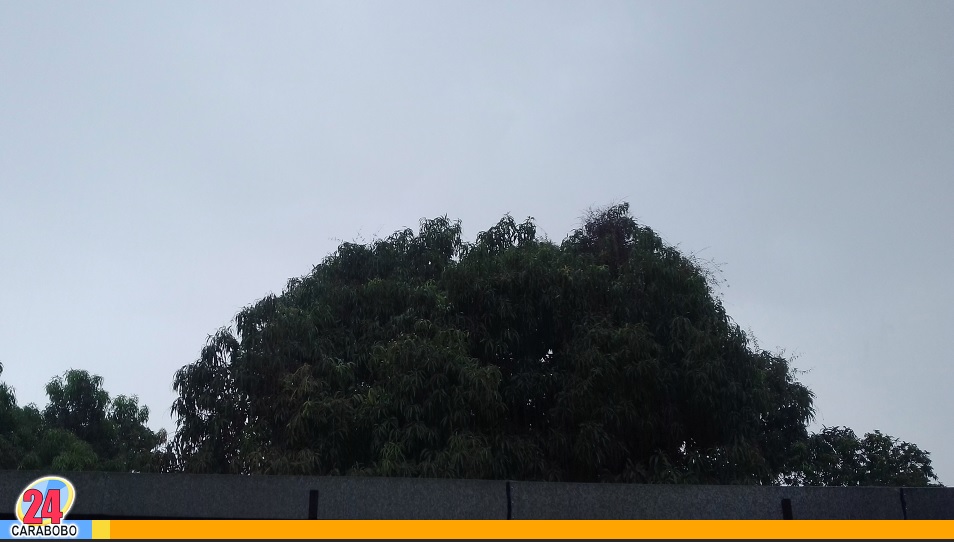 lluvias en estas zonas del país hoy sábado