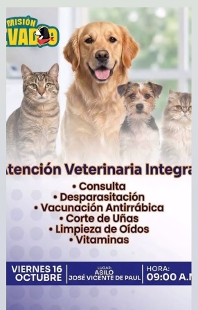 La Misión Nevado Carabobo hoy viernes estará en el municipio Naguanagua, con consultas, vacunación y desparasitación de tu perro o gato.