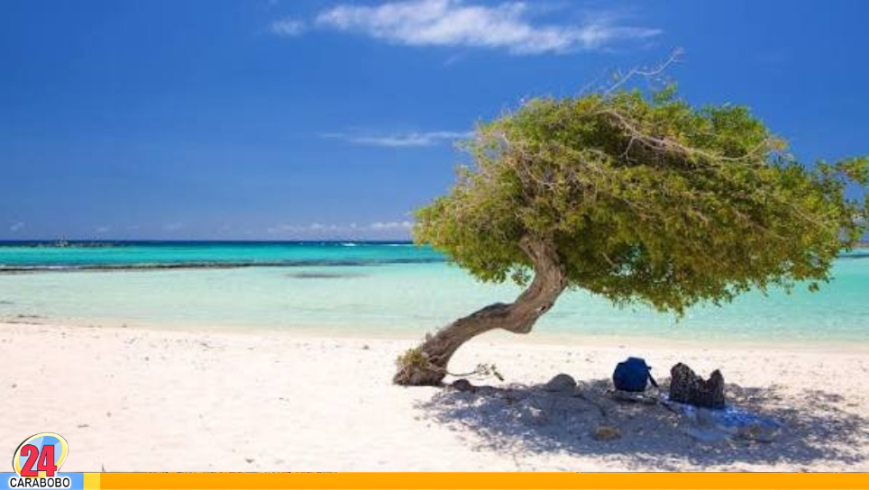 Vuelos directos entre Caracas y Aruba