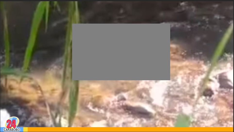Cadáver en un caño en el sur de Valencia
