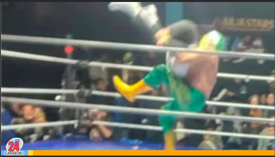 Luchador mexicano detenido