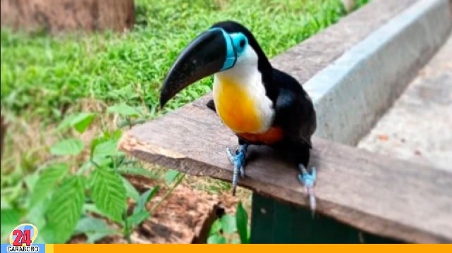 Zoológico Las Delicias en Maracay
